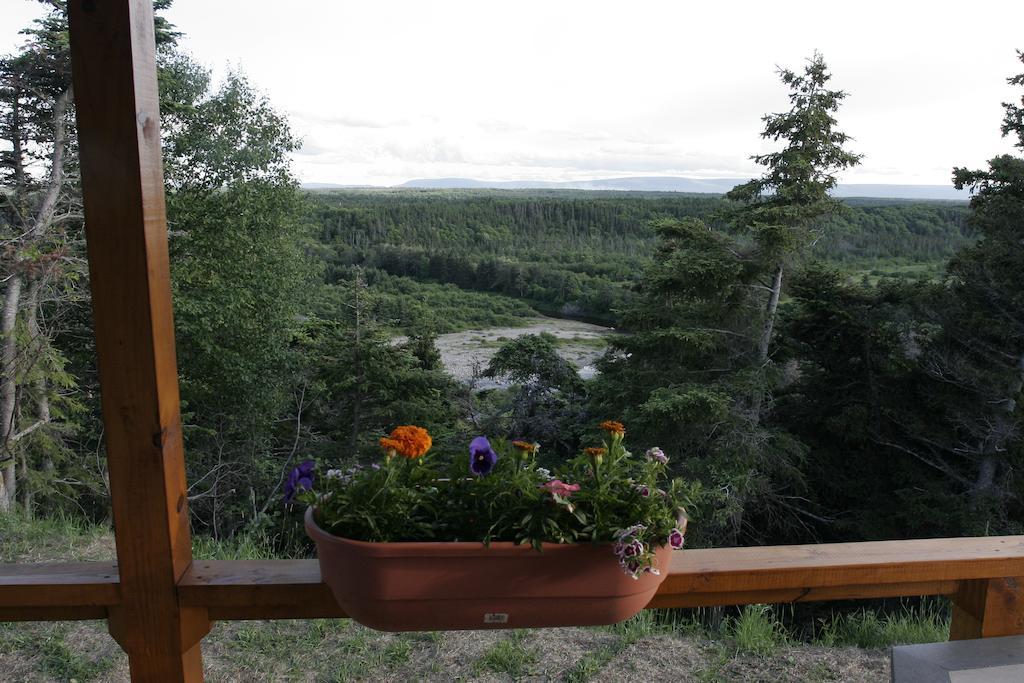 Pirates Haven Atv Friendly Rv Park, Chalets & Adventures Hotel Robinsons Room photo