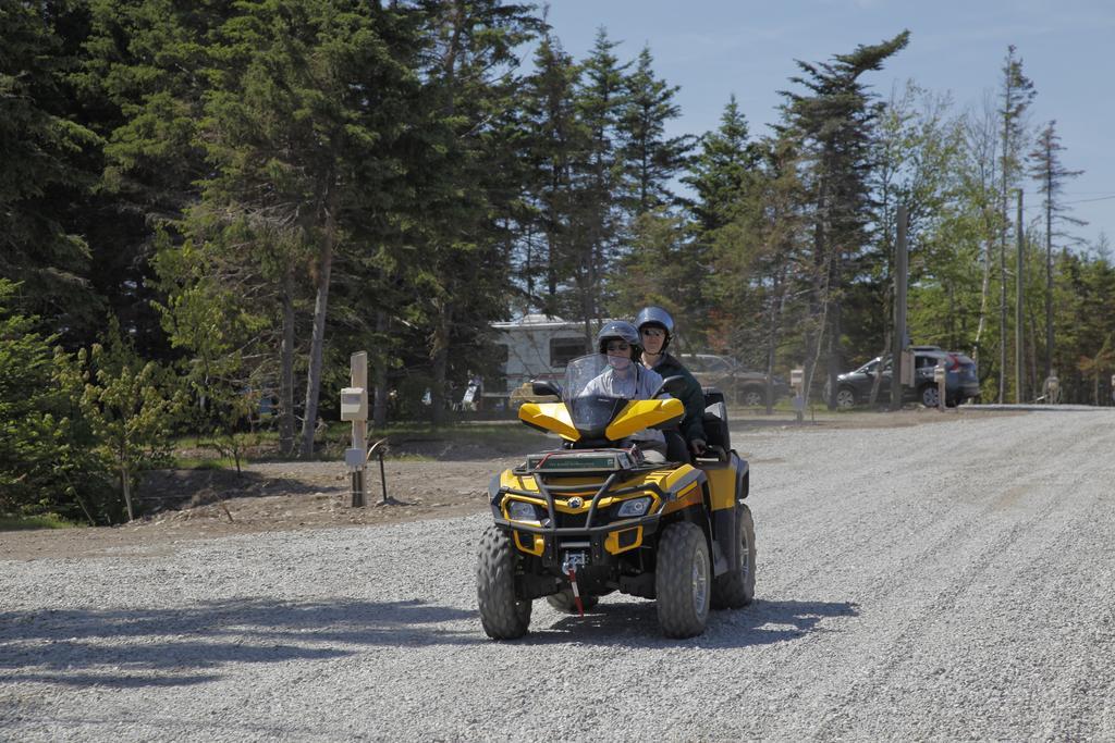 Pirates Haven Atv Friendly Rv Park, Chalets & Adventures Hotel Robinsons Exterior photo